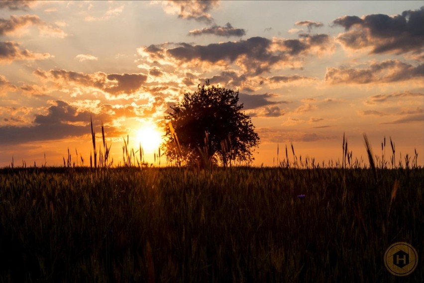 Zachody słońca w obiektywie mieszkańców Sosnowca. Ale wspaniałe zdjęcia!
