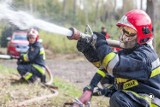 Strażacy z Opolszczyzny ćwiczyli gaszenie lasów w powiatach opolskim, prudnickim i strzeleckim