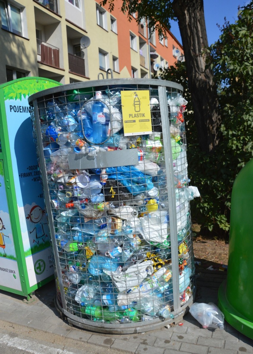 Śmieci zalewają podwórko. Czy wywożone są zbyt rzadko? [ZDJĘCIA]