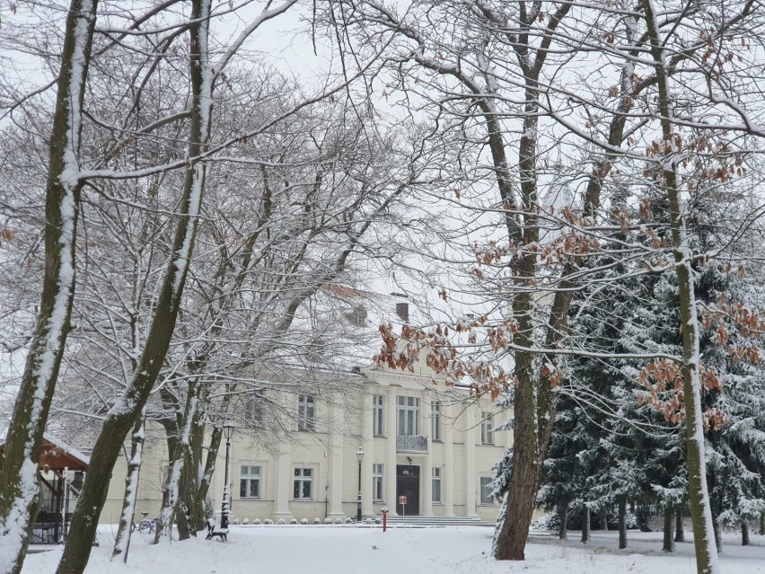 Dom Chłopaków. Pałac w Broniszewicach odzyskał dawny blask