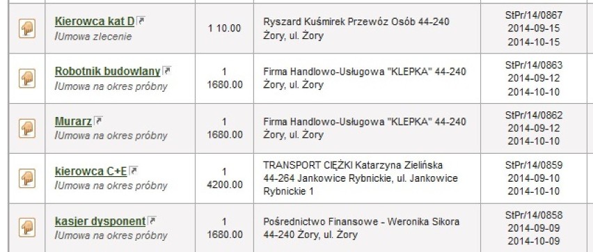 Oferty pracy Żory: Sprawdź, jakie są. Ile możesz zarobić?