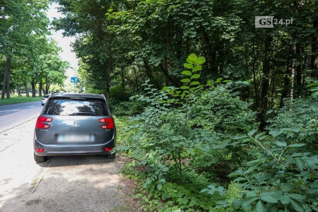 "Dzikie" parkowanie w okolicach Arkonki