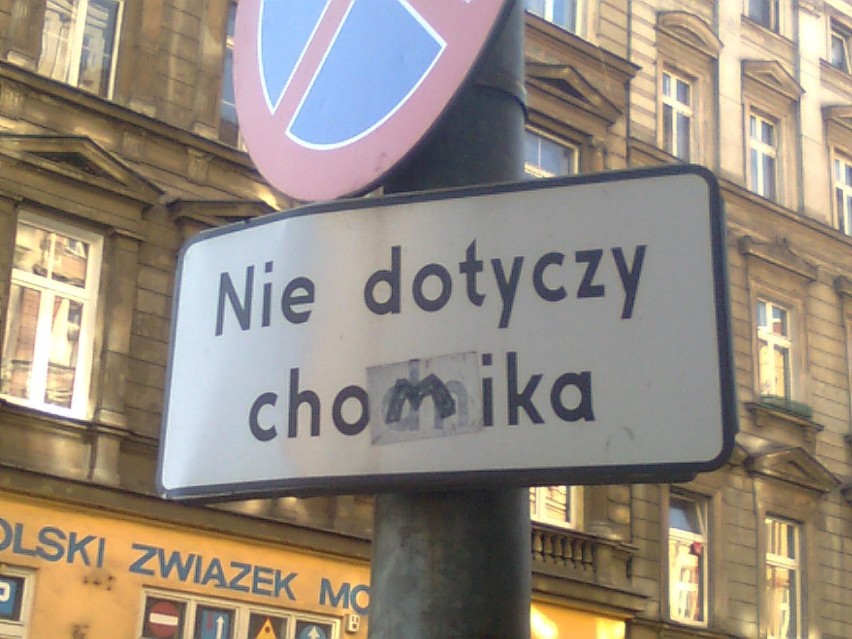 Fot. Elżbieta Świączkowska