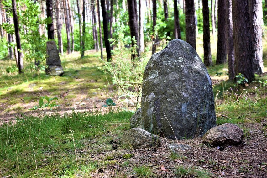 Wyprawy dalsze i bliższe. Tajemnicze kamienne kręgi na Kaszubach. Dawnym cmentarzyskom Gotów wielu przypisuje nadprzyrodzone moce ZDJĘCIA