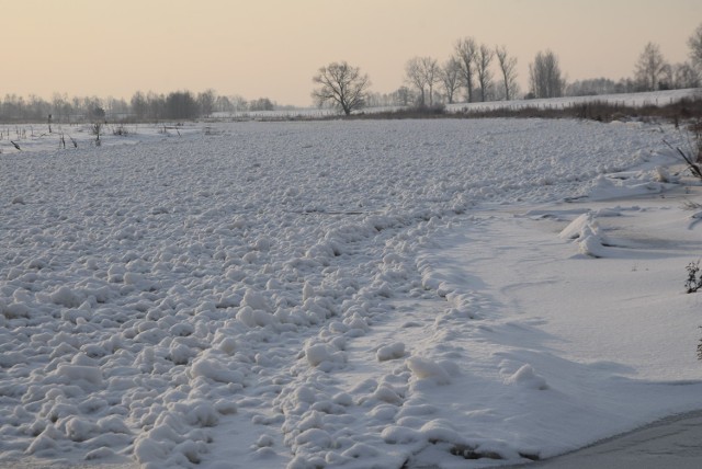 Rzeka Warta stanęła pod Sieradzem!