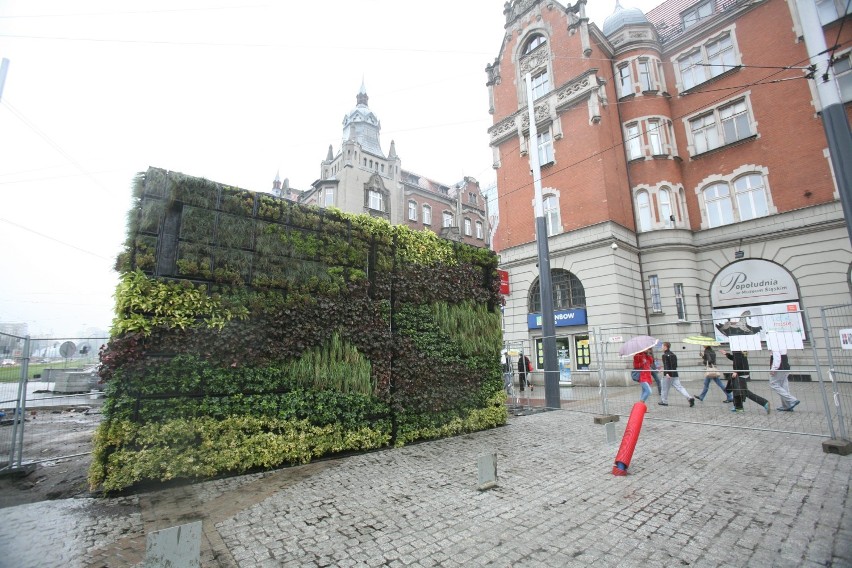 Wertykalne ogrody w Katowicach. Mają dać więcej zieleni w centrum [NOWE ZDJĘCIA]