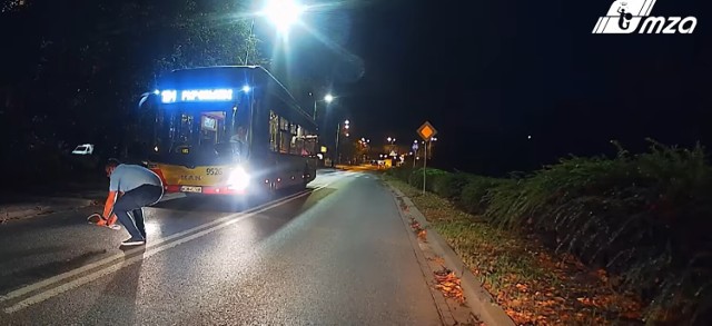 Kierowca zatrzymał autobus i przeniósł jeża z ulicy na pobocze.