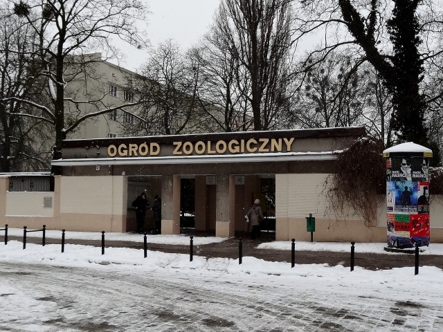 Nawet zimą nie brakuje zwiedzających w starym zoo