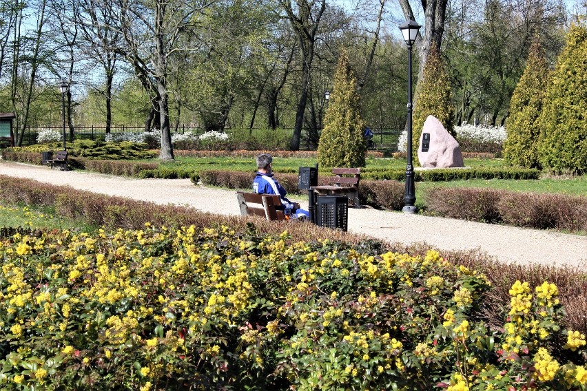 Wiosenny spacer po łęczyckim parku [ZDJĘCIA] 