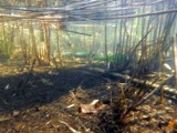 Podwodny, bajkowy świat pobliskiego jeziora Marszewo 