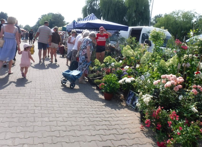 Czwartek 30 czerwca na targowisku Korej w Radomiu. Wiele osób na zakupach. O co klienci pytali najczęściej? Zobacz zdjęcia