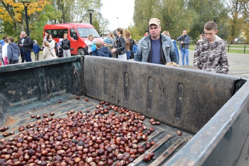 Nowy Dwór Gdański. Tegoroczny finał akcji "Pomóż zwierzętom...