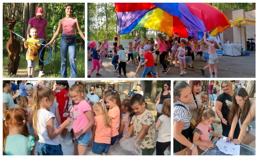 Dzień Dziecka gminy Gołuchów! To dopiero była zabawa dla starszych i młodszych! Spacery z alpakami i piana party tego dnia wygrały!