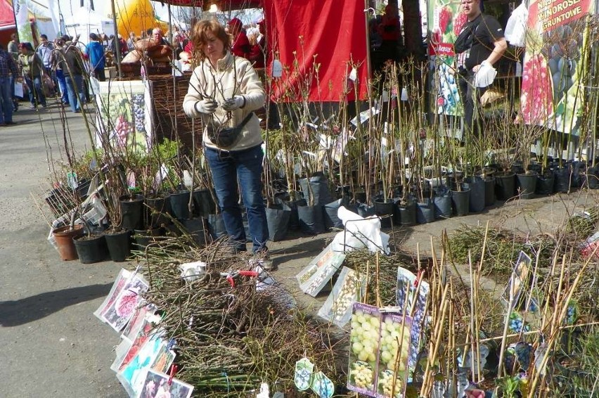 Agro Targi w Starej Łubiance już po raz 22.