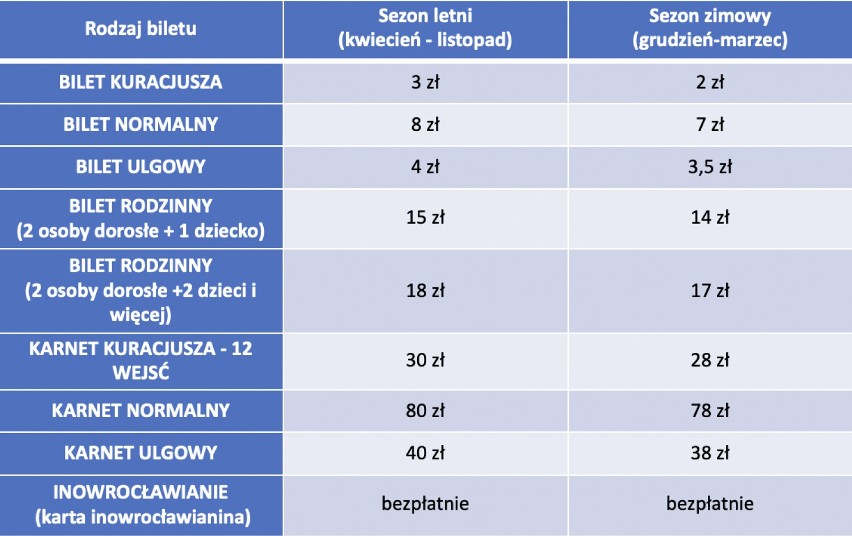 Tężnia w Inowrocławiu powinna być płatna dla kuracjuszy i turystów? Radny Damian Polak: - Solanki muszą zacząć zarabiać!