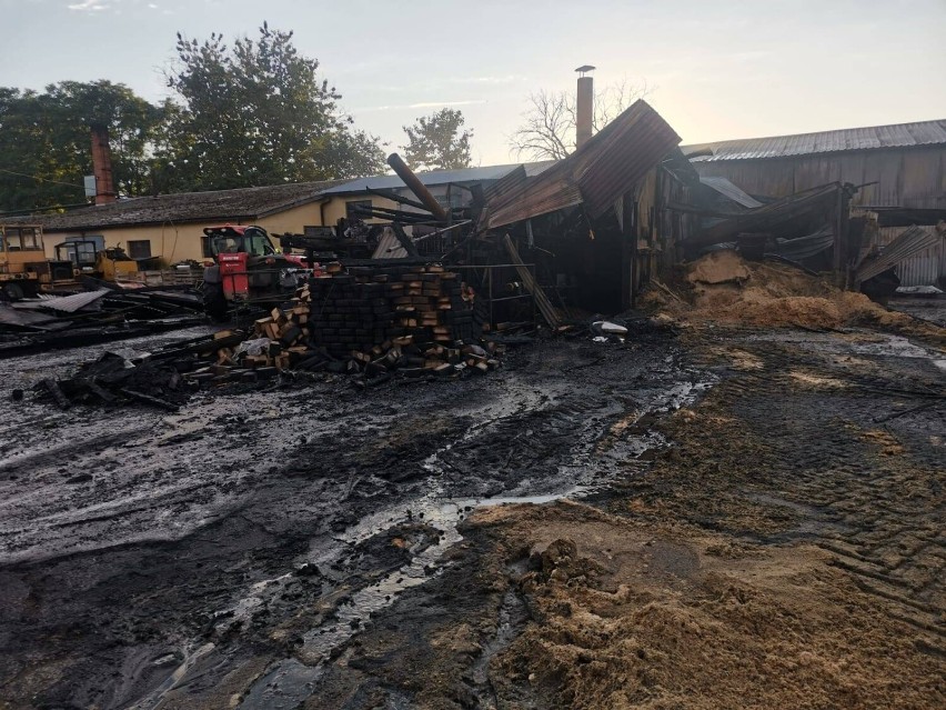 Pożar tartaku w gminie Koźminek. Hala uległa całkowitemu...
