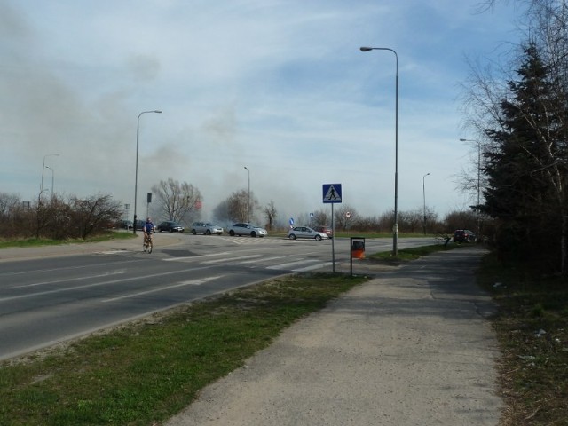 Pożar traw przy Kurlandzkiej