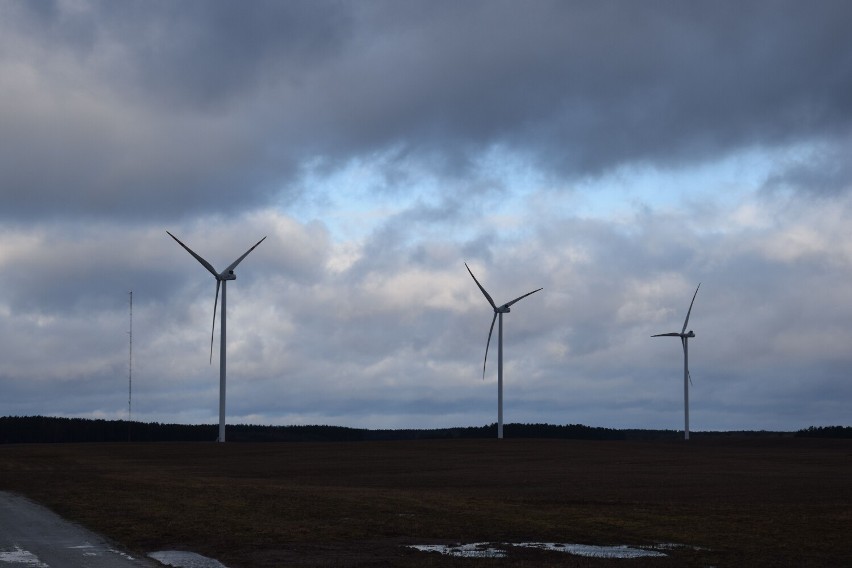 Las współczesnych wiatraków w gminie Biały Bór już wytwarza prąd [zdjęcia]