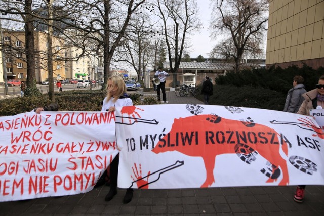 Manifestacja na Grunwaldzkiej w Poznaniu. Obrońcy zwierząt sprzeciwiają się myślistwu i łowiectwu.