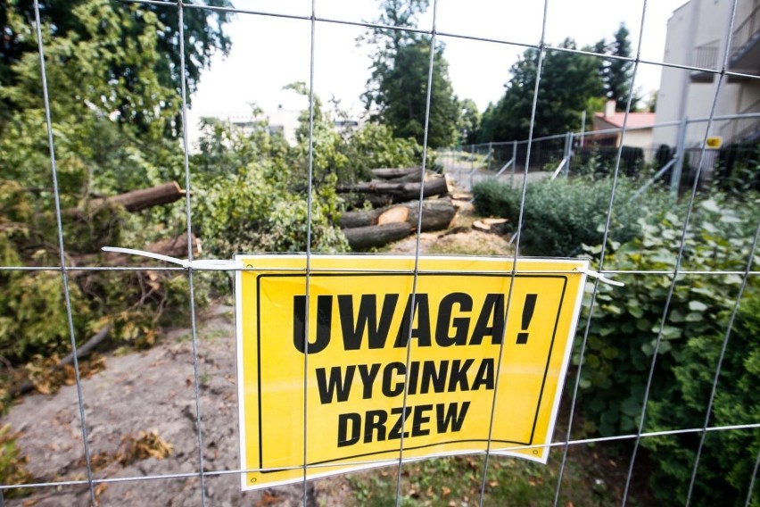 Zobacz, gdzie zaplanowano wycinkę drzew w Fordonie....