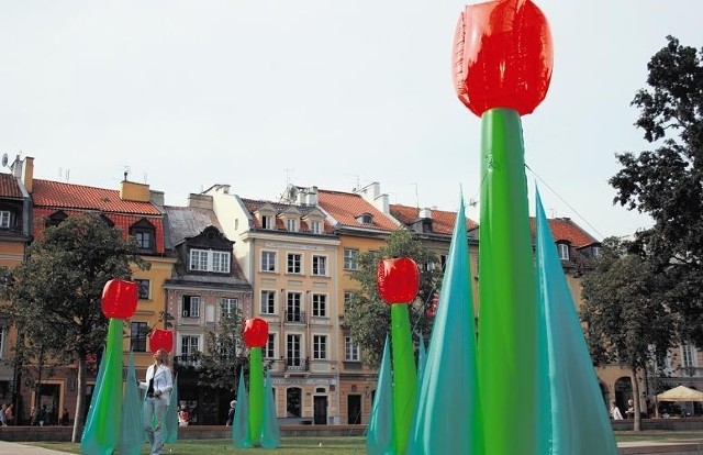 Takie tulipany "zakwitną" podczas poznańskiego festiwalu