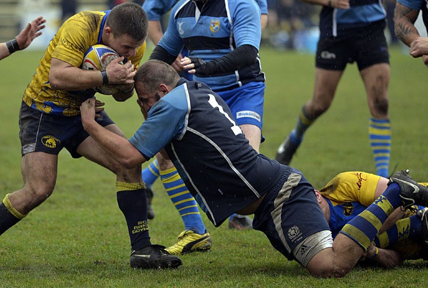 Rugby na Pomorzu. Ogniwo Sopot lepsze w derbach od Arki, zwycięstwo Lechii Gdańsk [ZDJĘCIA]