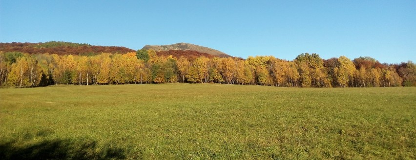 Tarnica, najwyższy szczyt polskich Bieszczad (1346 m), to...