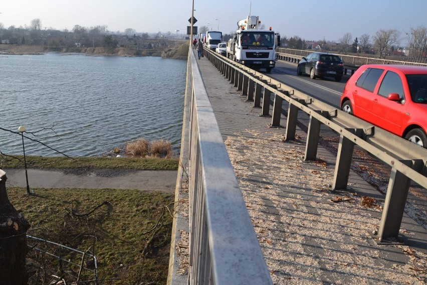 Zanim powstanie drugi most w Malborku. Krajobraz po wycince [ZDJĘCIA]