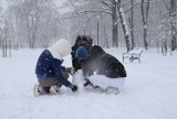 W Skierniewicach spadł pierwszy w tym sezonie śnieg