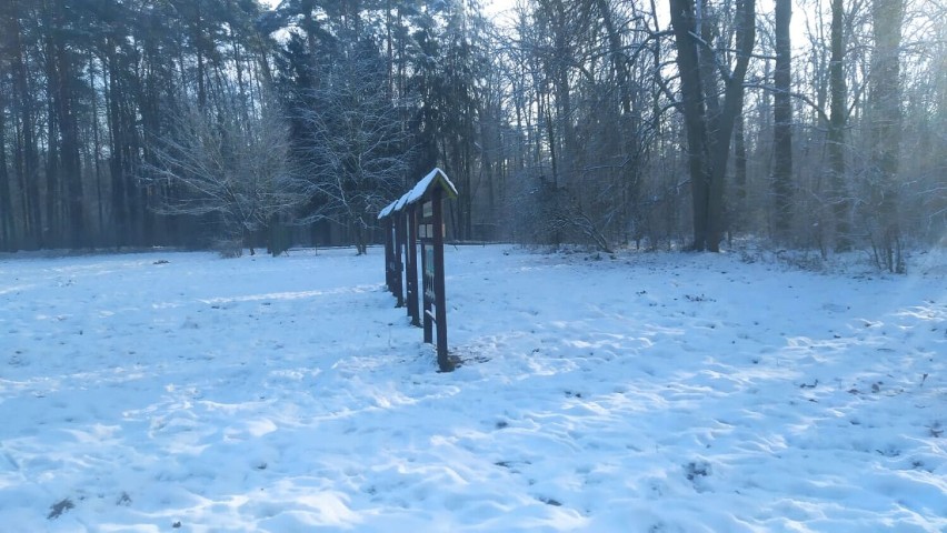 Leśne dukty w Karczmie Borowej popularne są także zimą 