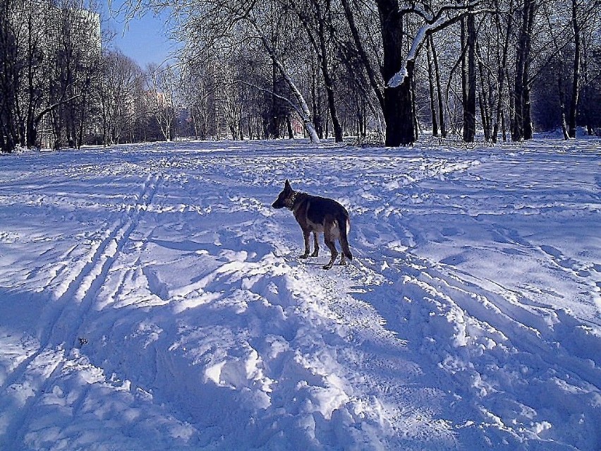 Fot. Ewa Krzysiak