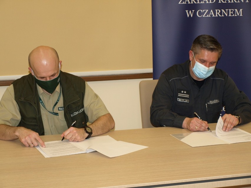 Więźniowie ze Szczecinka będą pracować w szczecineckich lasach [zdjęcia]