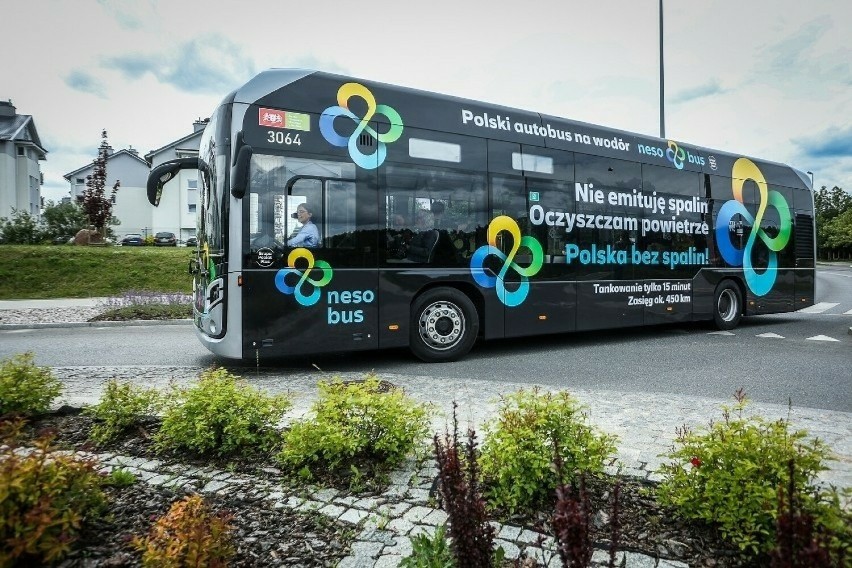 Autobus wodorowy w Malborku? Według władz i przewoźnika, to melodia przyszłości. Na razie w mieście rządzą "elektryki"