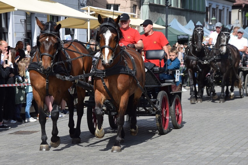 Parada konna na pszczyńskim rynku