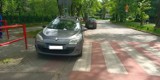 Krakowscy strażnicy pokazali lokalnych "zawodowców". Gdzie oni zaparkowali?!
