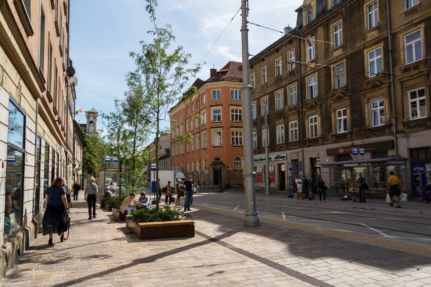 Kraków. Na ul. Krakowskiej pojawiły się kolejne drzewa [ZDJĘCIA]