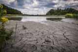 Wyschły stawy, uschły drzewa, znikają jeziora. Pojezierze Gnieźnieńskie znika w oczach. Czy uda się zatrzymać katastrofę ekologiczną?