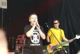 Punky Reggae Live 2011 w Szczecinie. Zobacz zdjęcia