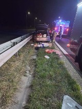 Bolesław. Poważny wypadek na DK 94. Auto zderzyło się z łosiem. Na miejscu lądował helikopter LPR [ZDJĘCIA]