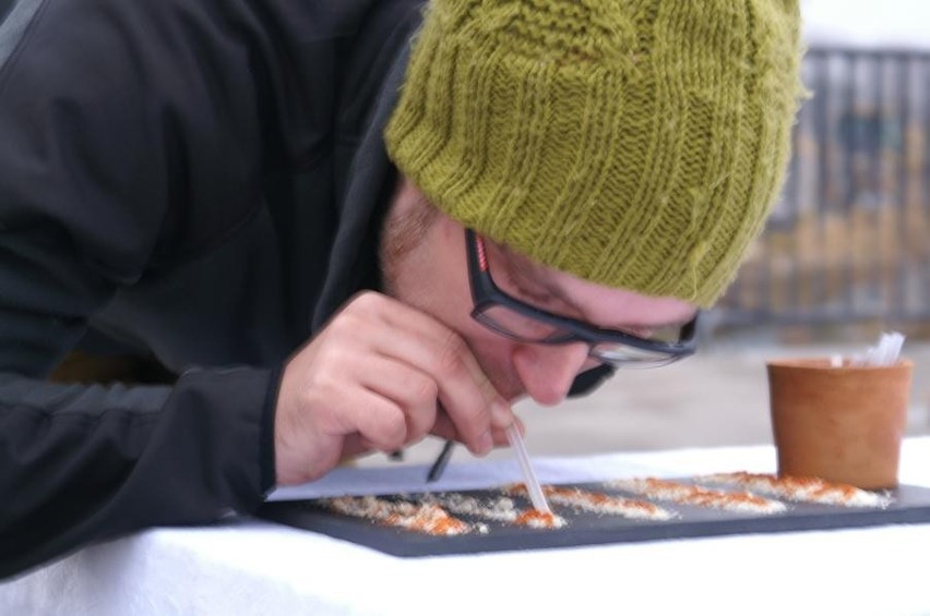 Poznań: Food Day na moście Jordana [ZDJĘCIA]