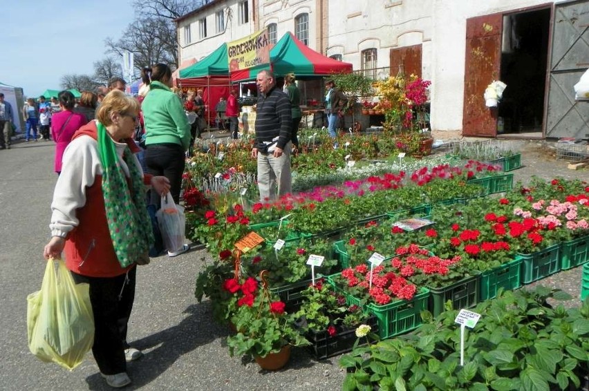 Agro Targi w Starej Łubiance już po raz 22.