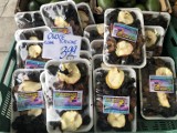 Ruszacie na przedświąteczne zakupy? Zobaczcie ceny warzyw, owoców, grzybów i bakalii na bazarze we Wrocławiu (FOTO) 