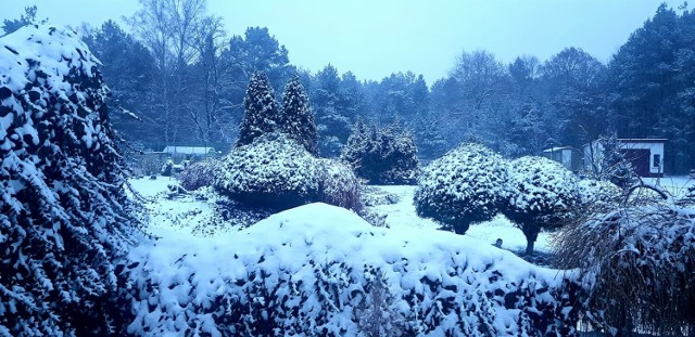 Zima w Żaganiu i okolicach