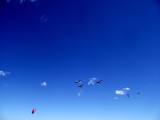 Piknik lotniczy w Pucku [Zdjęcia]