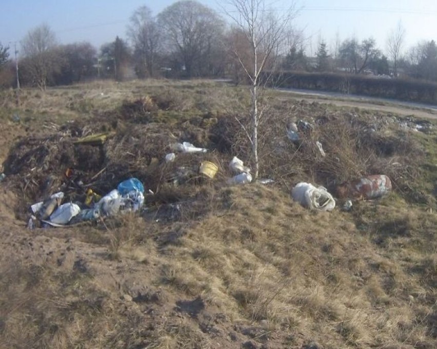 AMW posprzątała Małpi Gaj i Lasek Zachodni w Szczecinku [zdjęcia]
