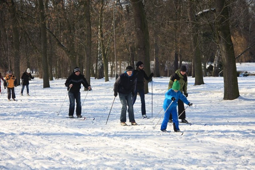 Przygotuj się do zimy, weź udział w zajęciach z narciarstwa biegowego