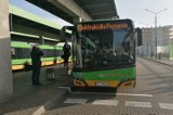 MPK Poznań kupi 37 autobusów elektrycznych i wybuduje dodatkowe stacje ładowania pojazdów