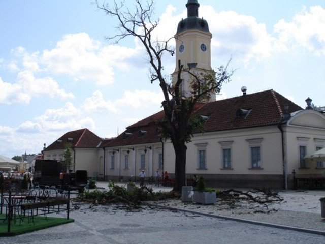 20 lipca 2009 roku usunięto stare drzewo rosnące tuż przy budynku Ratusza