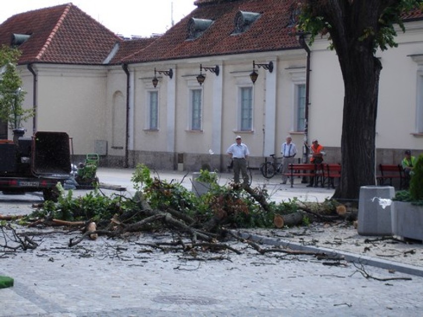 20 lipca 2009 roku usunięto stare drzewo rosnące tuż przy...