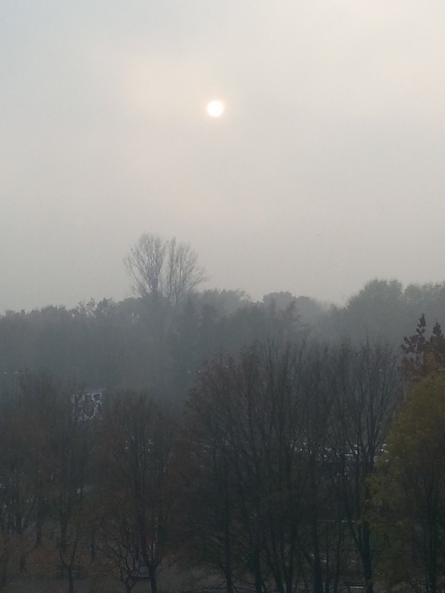 Smog na Rondzie Mogilskim